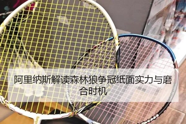 阿里纳斯解读森林狼争冠纸面实力与磨合时机（MILANESPORTS）
